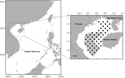 Length-Based Assessment of Fish Stocks in a Data-Poor, Jointly Exploited (China and Vietnam) Fishing Ground, Northern South China Sea